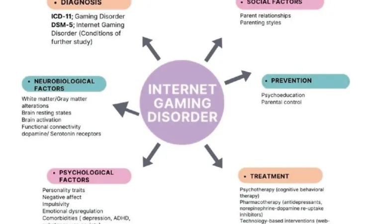 IUS Professors Shed New Light on Internet Gaming Disorder
